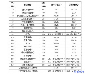 建峰学院2011分数线