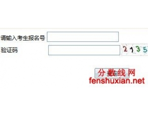 武汉理工大学华夏学院2012年高考招生录取结果查询