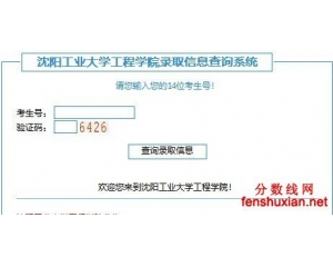 沈阳工业大学工程学院2012年录取信息查询系统