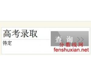 四川教育考试院网2013年录取查询(四川高考结果查询系统