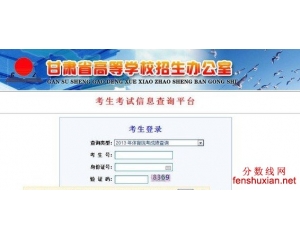 2013甘肃高考录取查询网gaokao.gszs.cn
