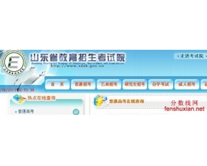 2013山东高考录取查询网www.sdzs.gov.cn