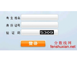 2014年华中师范大学音乐校考成绩查询系统