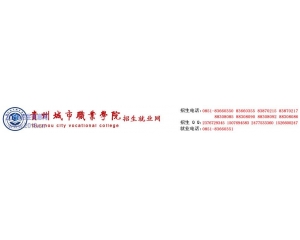 2016贵州城市职业学院分数线、录取查询